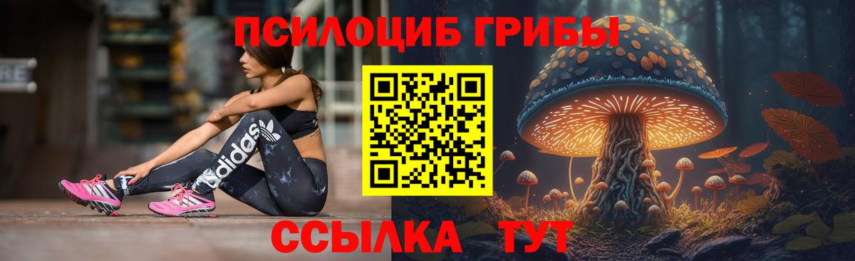 Псилоцибиновые грибы Magic Shrooms  Вход с VPN  Благодарный 